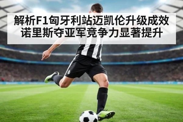 解析F1匈牙利站迈凯伦升级成效 诺里斯夺亚军竞争力显著提升